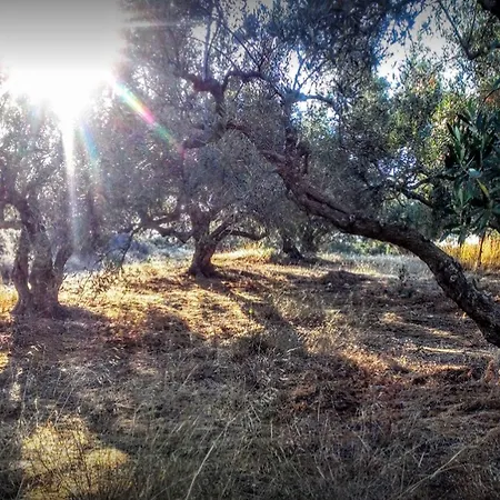 Mareva Hersonissos (Crete)